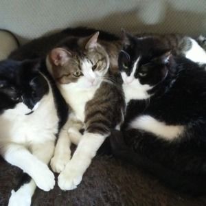 Meet your Posher, Denise